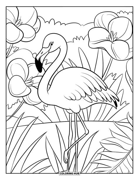210+ Flamingo Coloring Pages for Kids & Adults (Free Printable PDFs)