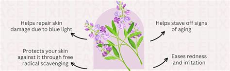 Skin Fx Face Elixir Brightening & Moisturizing Serum 30 ml | Kiwi ...