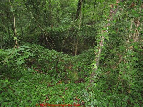 Water Spring Box Design 的图像结果