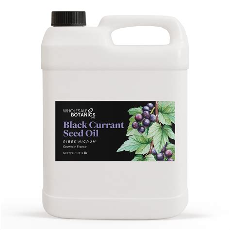 Black Currant Seed Oil — Wholesale Botanics