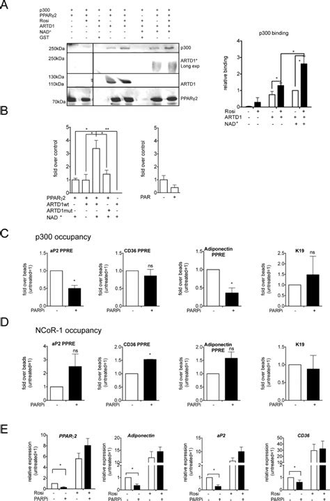 Par Color Development Principle 的图像结果