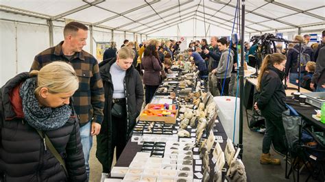 Fossil Festival 2024 Highlights Lyme Regis