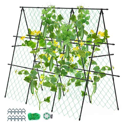 Snapklik.com : Garden Trellis For Climbing Plants Outdoor, Deaunbr ...