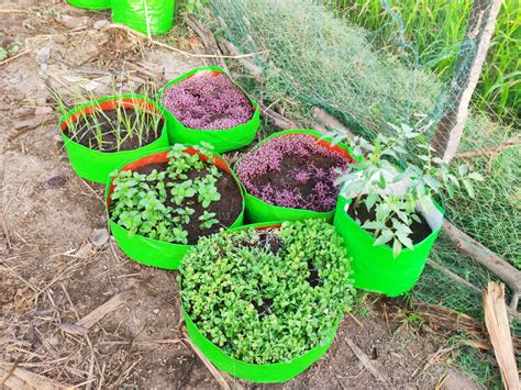 Grow Bag – Agri-Route