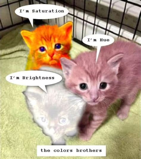 The colors brothers : r/Bossfight