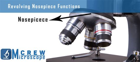 Image result for Rotatable Tube Microscope Function
