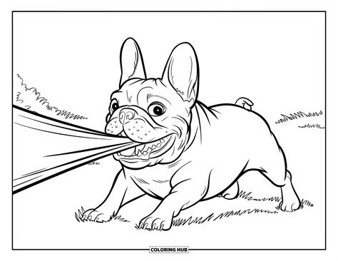 85+ French Bulldog Coloring Pages for Kids & Adults (Free Printable PDFs)