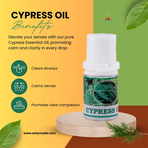 Buy Cypress Oil Online - Natural Essential Oil for Varicose Veins ...