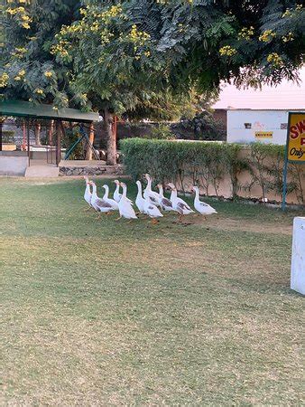 Angel Resort & Amusement Waterpark (Jaipur) - 2019 What to Know Before ...