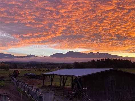 Port Angeles Vacation Rentals & Homes - Washington, United States | Airbnb