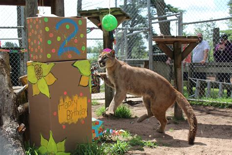 General 1 — Wilderness Walk Zoo