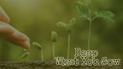 Reap What You Sow