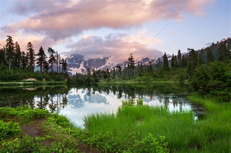 华盛顿 的图像结果