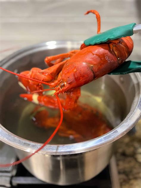 How Long To Cook Lobster