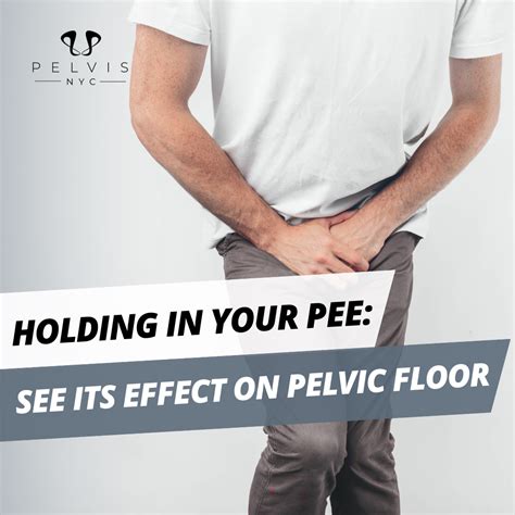 Holding in Your Pee: See its Effect on Pelvic Floor - Pelvis.nyc