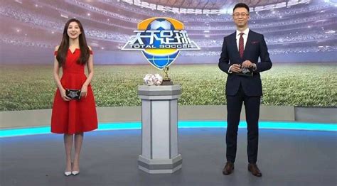 CCTV解说世界杯：贺炜、刘嘉远、朱晓雨等人！詹俊、张路网上解说