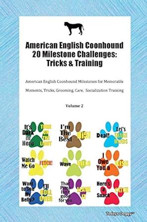American English Coonhound 20 Milestone Challenges: Tricks & Training ...