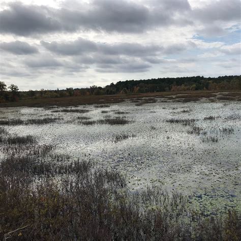 MASS AUDUBON IPSWICH RIVER WILDLIFE SANCTUARY (2026) All You Need to ...