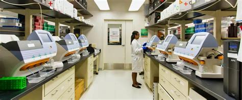 Scientific Control 的图像结果