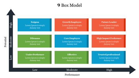 8 Box Model 的图像结果