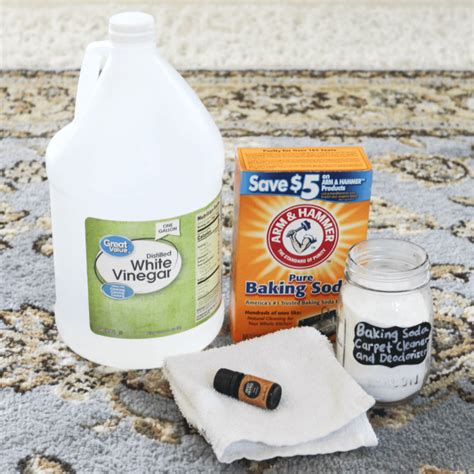 How To Clean Your Carpet With Baking Soda – Adam Forga