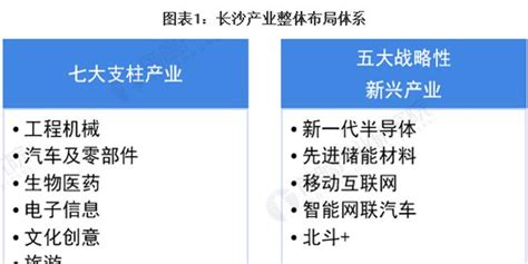 【深度】2022年长沙产业结构之五大战略性新兴产业全景图谱(附产业空间布局、产业增加值、各地区发展差异等)_行业研究报告 - 前瞻网