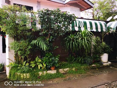 COZY INN MACTAN (Mactan Island, Cebu Island - Lapu Lapu) - Specialty ...