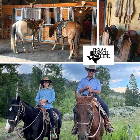 Texas Ranch Life on LinkedIn: Discover the wonders of the Texas ...