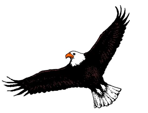 Flying Eagle Clip Art