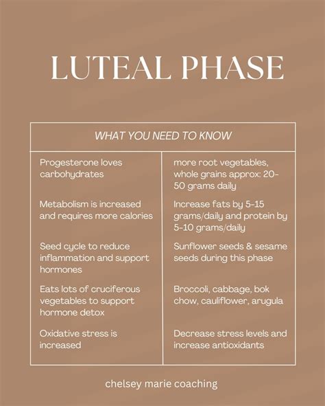 Pin em Cycle Phases ️