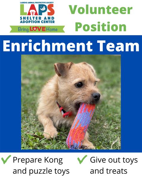 Volunteer - Laredo Animal Protective Society