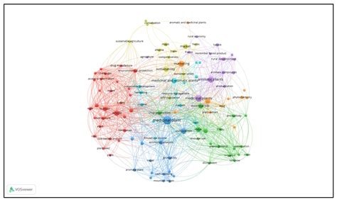 The Most Relevant Socio-Economic Aspects of Medicinal and Aromatic ...