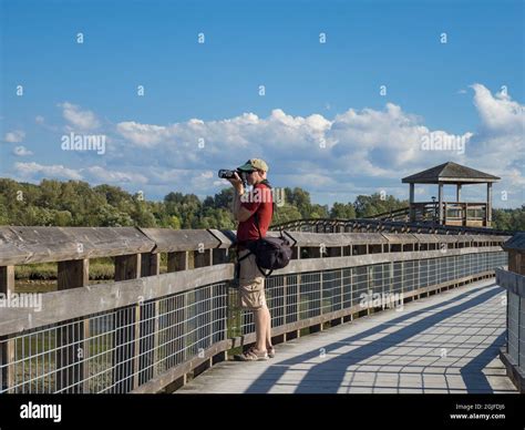 Usa, Washington State, Olympia. Billy Frank Jr. Nisqually National ...