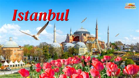 CIRCUIT ISTANBUL LACUL SAPANCA – MASUKIYE, Cistour Agency (Bd Iuliu ...