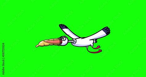 Rezultat imagine pentru Birth Control Loop