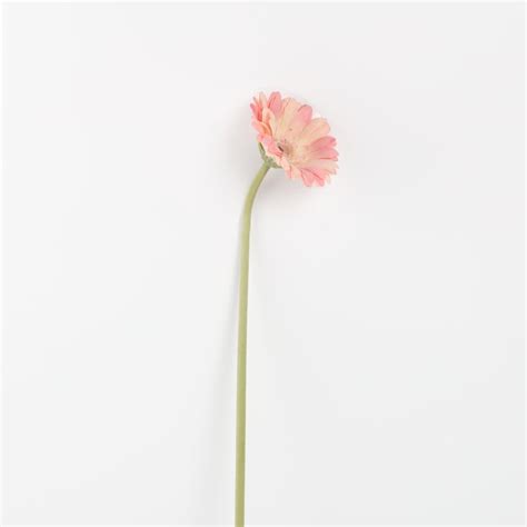 Buy Botanical Artificial Gerbera Daisy Flower Stick - 58cm from Home ...