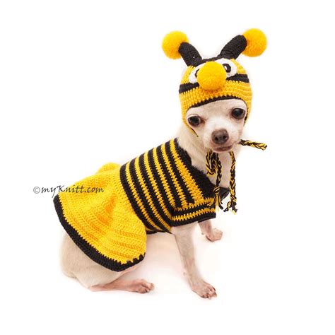 Puppy Dog Bee Costume at Benjamin Whitley blog