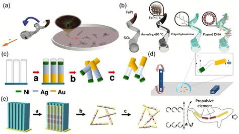 Autonomous Nanorobots as Miniaturized Surgeons for Intracellular ...