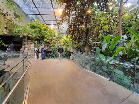 Biodôme Montréal - Tropical Rainforest - ZooChat