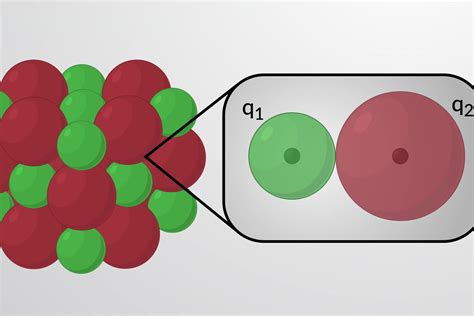 15 Spanish Oak Tree Facts - Facts.net
