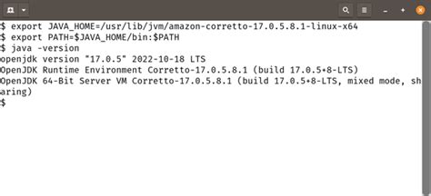 How to Use Java OpenJDK 8 的图像结果