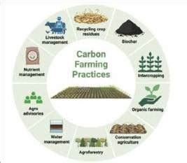 Carbon credits in India: A green opportunity for growth