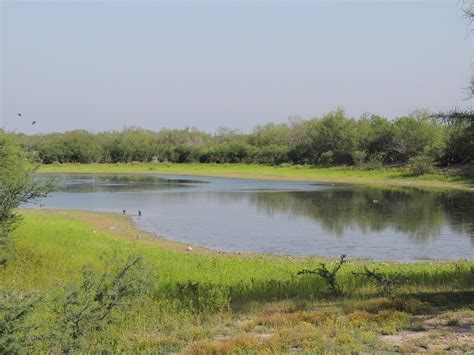 3,495 acres in Encinal, TX, 78019 | LandWatch