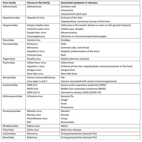 Hvad er en virus? | MinPathologyReport