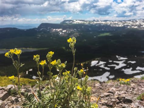 13 Best Steamboat Springs Hiking Trails (By A Local) 2024