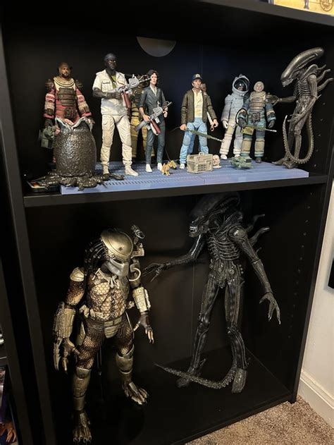 Image result for Predator Collection