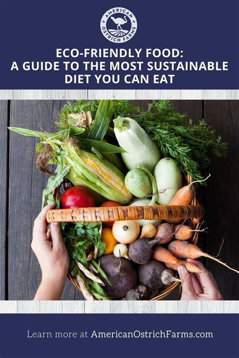 Eco Food 的图像结果