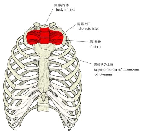 Image result for Structures of Pattern