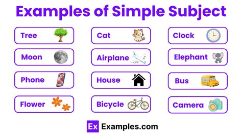 70+ Simple Subject Examples