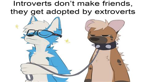 The Furry Meme that Saved My Life. - YouTube